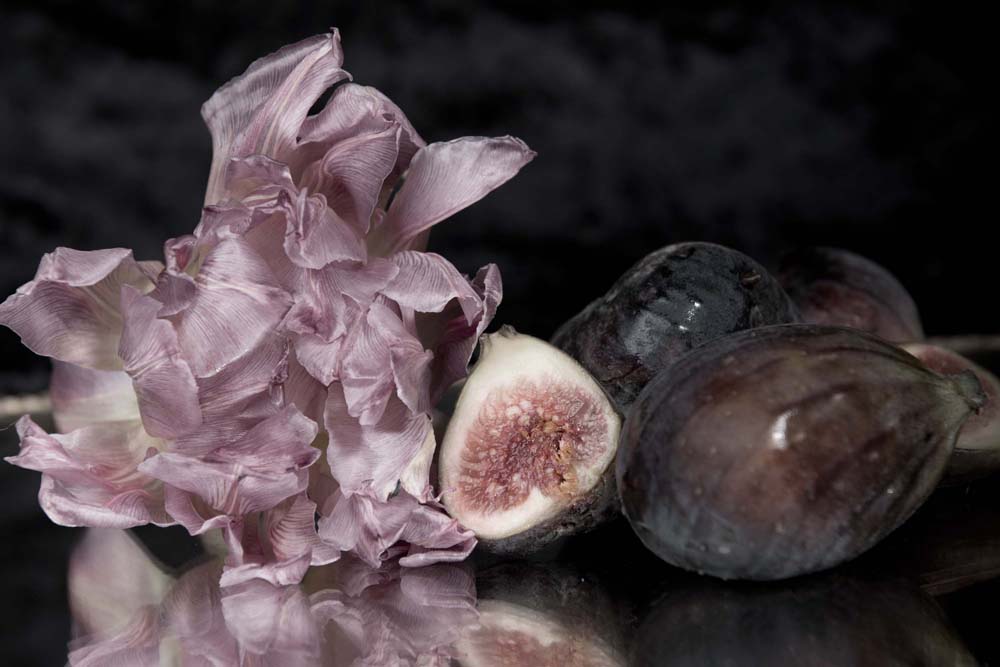 Lilac Fig and Rose
